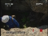 敲响战争警报 《探索·发现》 20121210 战争警报之鬼要塞