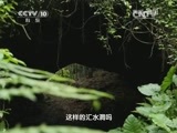 地理中国 《地理中国》山河春色 美孝奇村 20150304