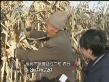 焦点访谈 《焦点访谈》 20131109 “夺”来的丰收/警惕身边的安全隐患