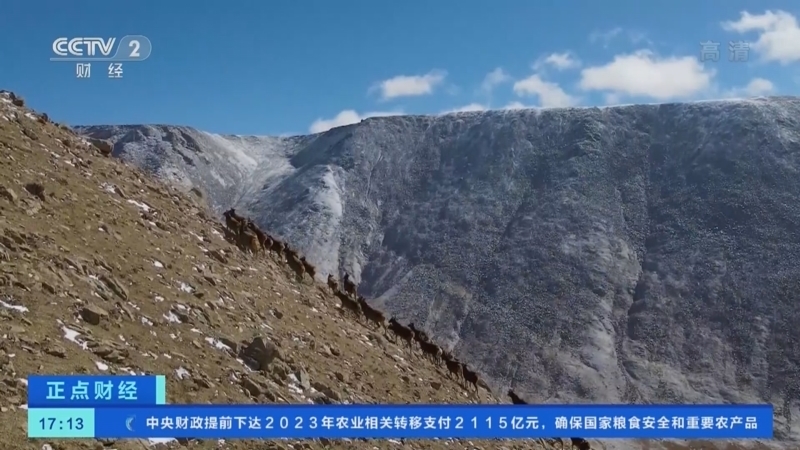 正点财经 《正点财经》 20221110 17:00