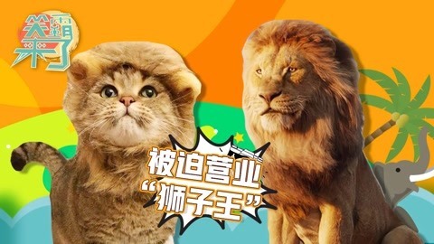 笑霸来了欢畅版 被迫营业的“狮子王”有苦说不出