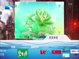 大王小王 《大王小王》 20150504 你是我心中的“大珍珠”