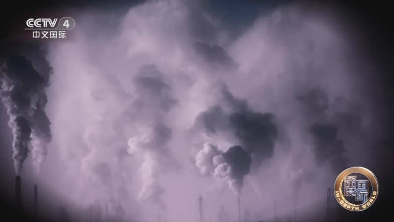 《深度国际》 20251220 绿色约定的十年答卷