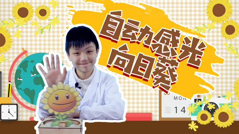 德拉少儿科学实验室 自动感光向日葵
