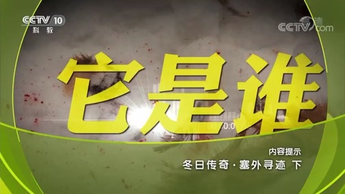地理中国 《地理中国》 20181229 塞外寻迹（下）