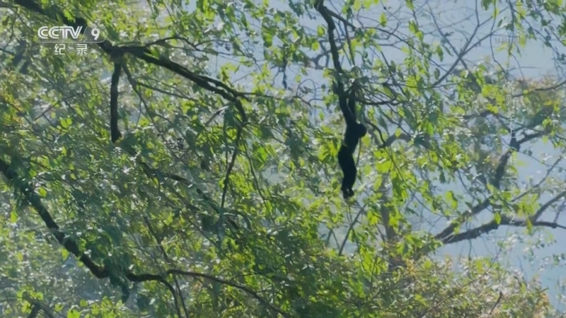 《荒野至上》第二季 第2集 觅踪