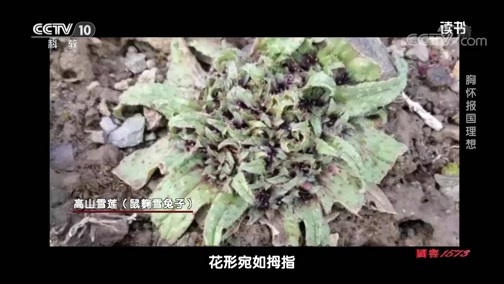 读书 《读书》 20191228 陈芳/陈聪 《种子钟扬》 胸怀报国理想