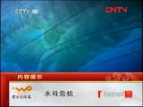 走近科学 水母危机 《走近科学》20110901