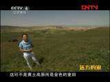 远方的家 《远方的家》 20111026 边疆行（78）