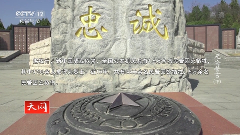 《天网》 20210405 《无悔誓言》（下）