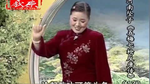 河南坠子 坠子《五梅七枪反唐传》