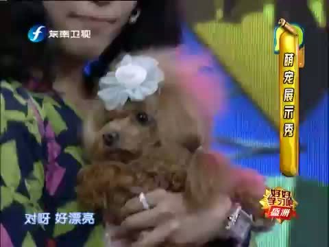 好好学习吧 《好好学习吧》 20140410