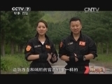 谁是终极英雄 《谁是终极英雄》 20131208 弹药储运争霸赛
