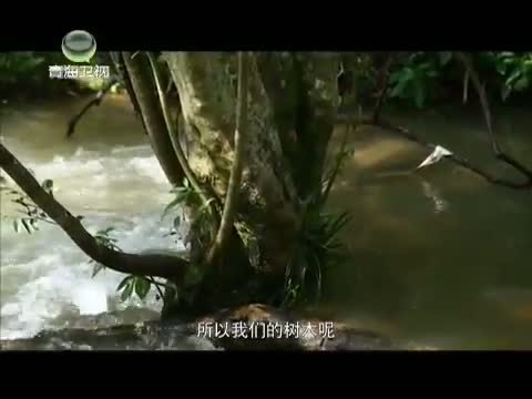 时尚旅游 《时尚旅游》 20140912 黔南——民族之美 水韵樟江