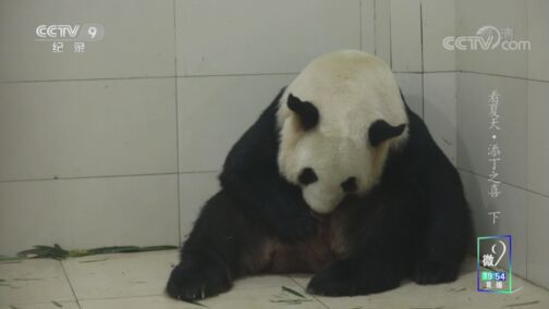 《看夏天》 添丁之喜（下）