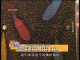生财有道 生财有道 2010-02-17