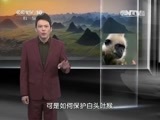 地理中国 《地理中国》 20150520 国际生物多样性日特别节目·地球家园-密林探奇