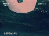 军事科技 《军事科技》 20170610 “战斧”，究竟战力几何？