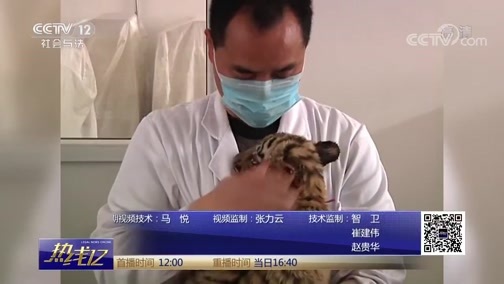 热线12 《热线12》 20190329