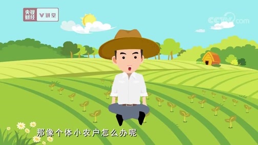 中国经济大讲堂 《央视财经V讲堂》 20191210 农业效益的提升有啥绝招？