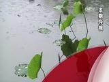 今日说法 《今日说法》 20170208 手足情伤（上）