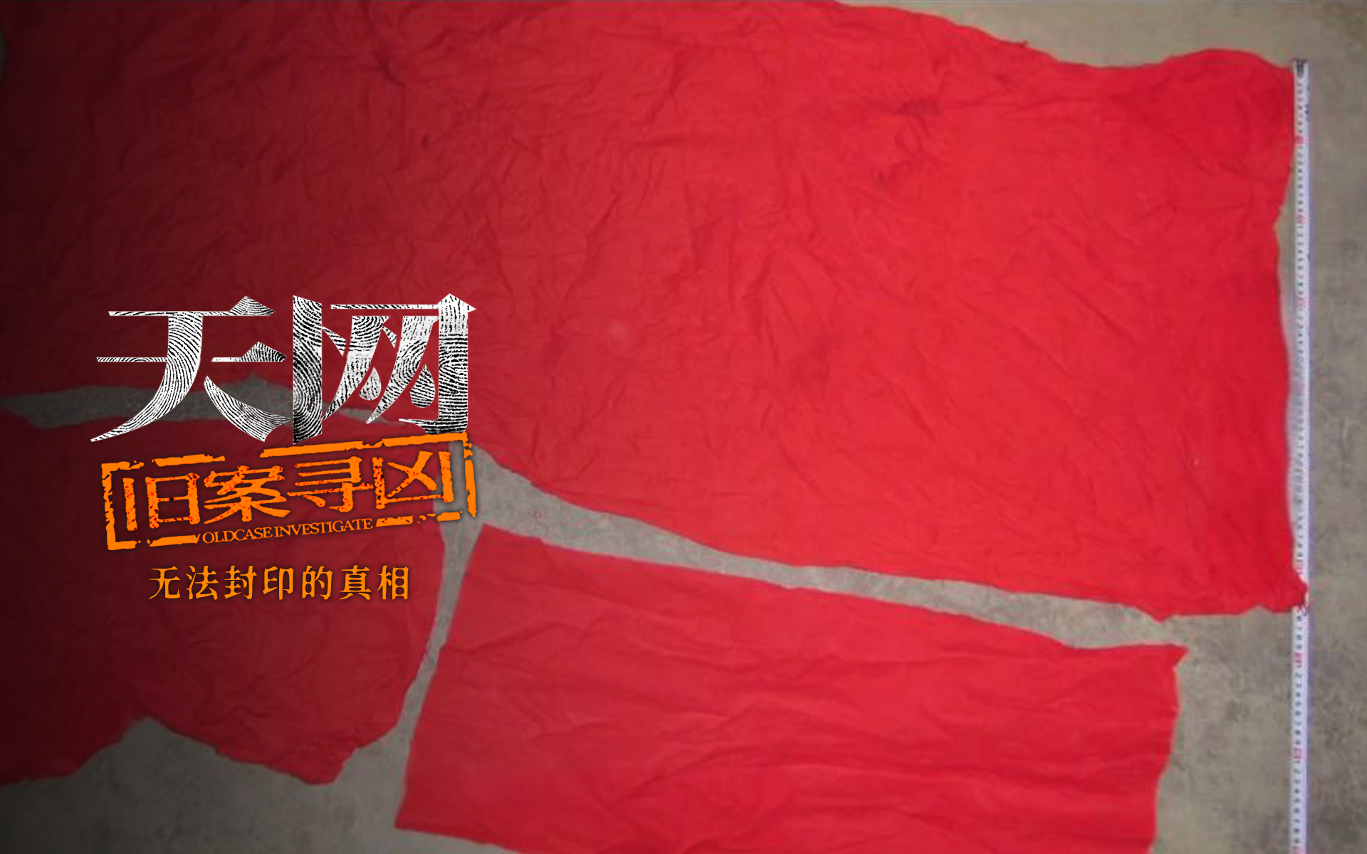 无法封印的真相