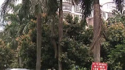 小强热线 小强热线20140326