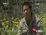 今日说法 《今日说法》 20150710 谁为倒地负责