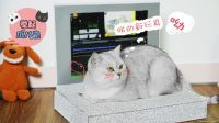 举起爪儿来 DIY趣味电脑猫抓板 13