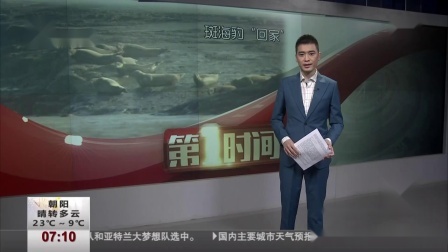 第一时间 俩笨贼偷石狮怕被抓 物归原主送花致歉