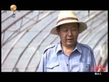 好人在身边 《好人在身边》 20160813 贴心人