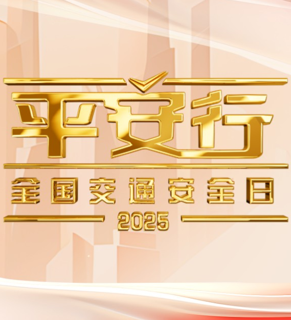 平安行2025 海报