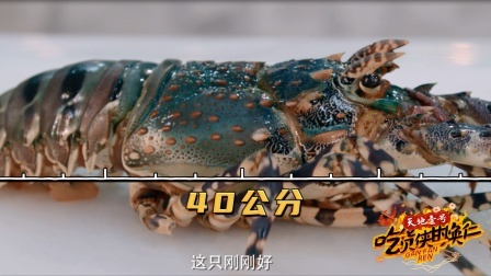 《吃货侠甘焕仁》第一季 一龙三吃！极品龙虾的“冰火海”烹饪大法！