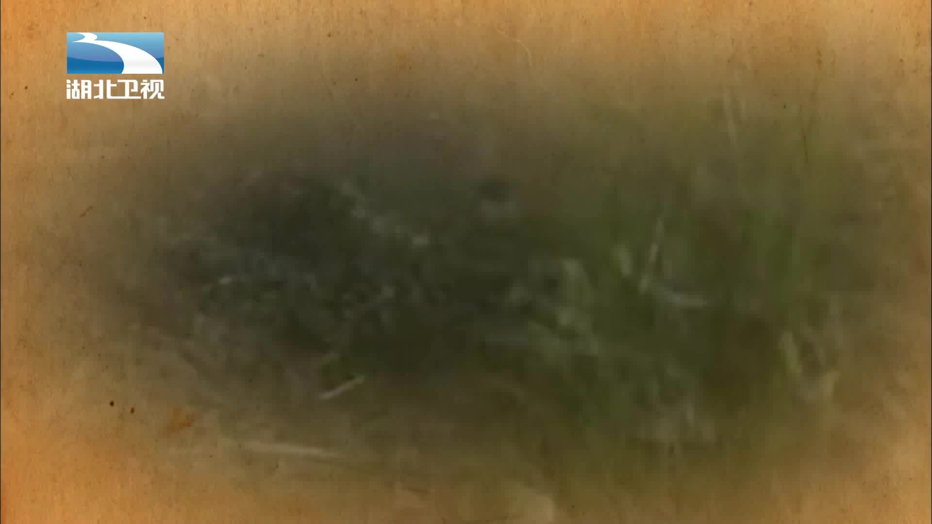 伟大长征 《伟大长征》第3集