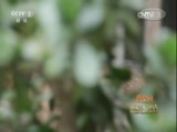 秘密大改造 《秘密大改造》 20170514