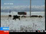 共同关注 共同关注 2010-09-05