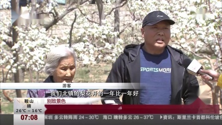 第一时间 吊车司机结婚，十辆吊车开20里迎亲