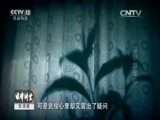 法律讲堂 《法律讲堂（生活版）》 20151103 甩不掉的她