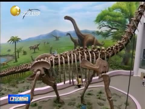 辽宁新闻 《辽宁新闻》 20140601