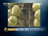 消费主张 《消费主张》 20150618 一方水土一方味——椰子送清凉 夜市品宋味