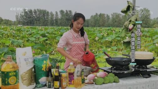 回家，吃饭 《回家吃饭》 20200820 伏天里的美味（四） 湖北洪湖