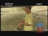 寻宝 《寻宝》 20140410 祭海（上）