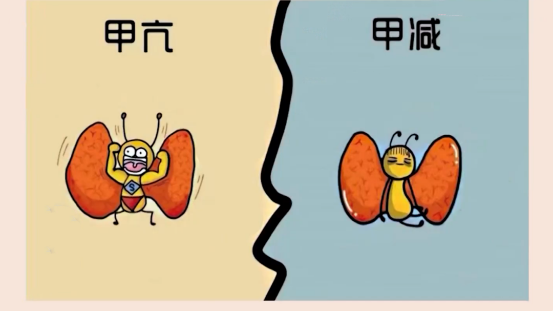 X诊所. 甲亢 甲减 别再傻傻分不清楚