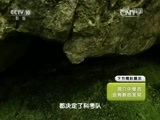 地理中国 《地理中国》 20150917 奇河谜洞（下）