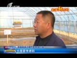山西新闻联播 《山西新闻联播》 20180419