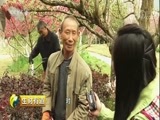 生财有道 《生财有道》 20180411 咱们家乡春天美 花海十里 美在龙里