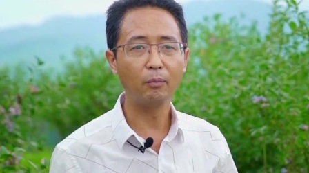 与梦想合拍 “蓝”不住的“莓”好