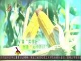 全省新闻联播 《全省新闻联播》 20160416