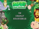 绿野寻踪 《绿野寻踪》 20180307
