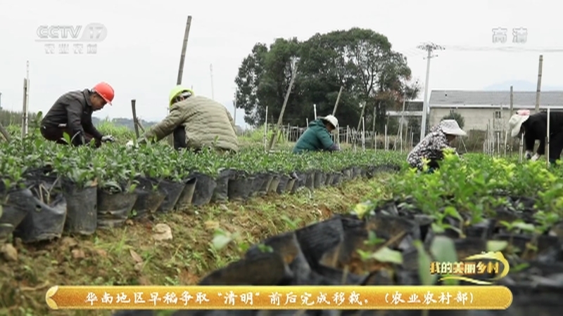 《我的美丽乡村》 20210329 泊头村的山与人